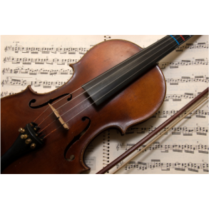 Violin