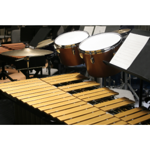 Trommer & Percussion