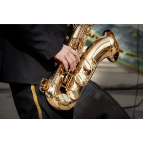 Blæse instrumenter