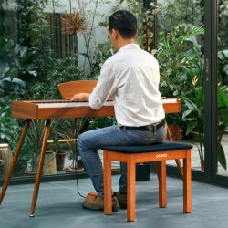 Donner Bench klaverbnk tr