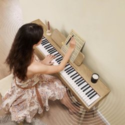 Donner DDP-60 el-klaver