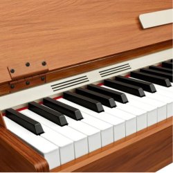 Donner DDP-80 PLUS el-klaver