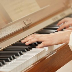 Donner DDP-80 PLUS el-klaver