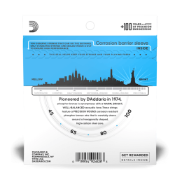 Daddario Akustik Bas strenge 045-100 EPBB170