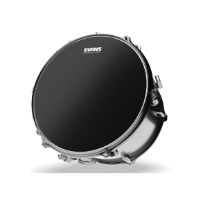 Evans B12ONX2 12