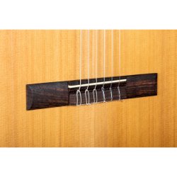 Camps M-1-C Spansk Guitar